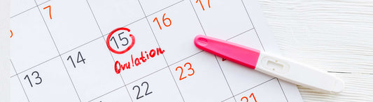 1 DPO refers to the first day after ovulation, when the mature egg is released from the ovary and begins its journey through the fallopian tube towards the uterus.