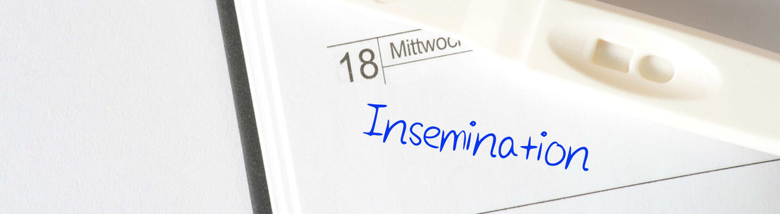 Intra-Cervical Insemination (ICI) performed at home. By understanding these success rates, you can make informed decisions about the most suitable method for your fertility journey.