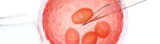 Is home insemination better than IVF?