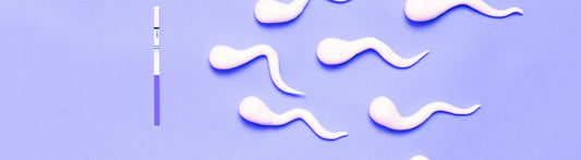 Should you have an Orgasim before or after insemination?
